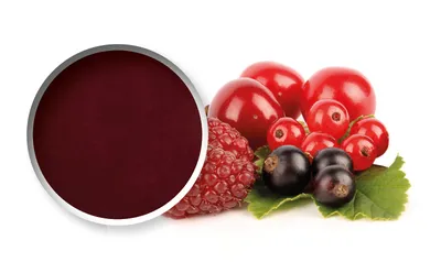 Starfruit Fruits Rouges