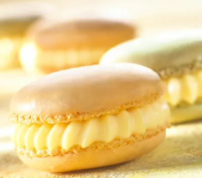 Umplutură cremă Cremfil Classic Vanilla