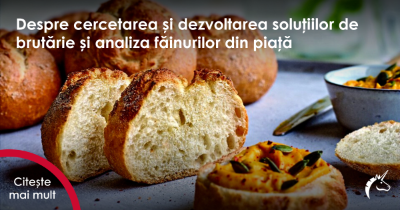 Despre cercetarea și dezvoltarea soluțiilor de brutărie și analiza făinurilor din piață