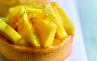 Harmony Classic Briant