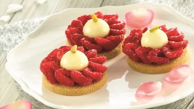 Harmony Classic Ruby