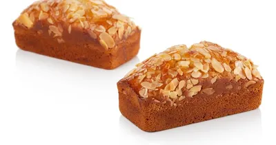 Tegral Chec de Casă