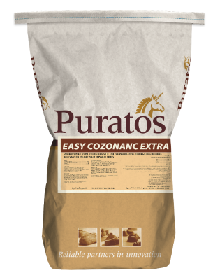 Easy Cozonac Extra