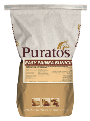 Easy Pâinea Bunicii