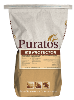 MB Protector