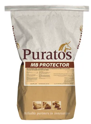 MB Protector