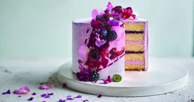 Tegral Satin Cream Cake Purple Velvet