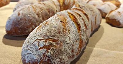 Torsade cu grâu încolțit și cartofi