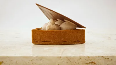 Dark Chocolate & Apricot Tart