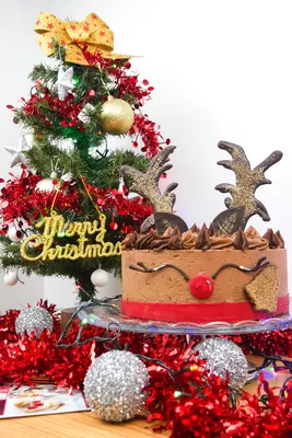 Christmas Reindeer