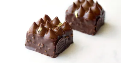 Regina Maria - Rețeta sustenabilă